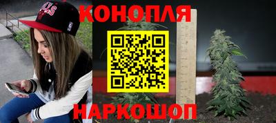 ALPHA-PVP Камышлов