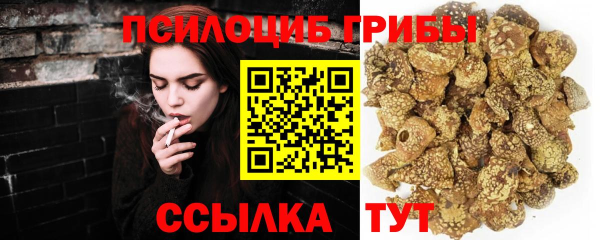 Галлюциногенные грибы мицелий  Вход с VPN  Юрга 